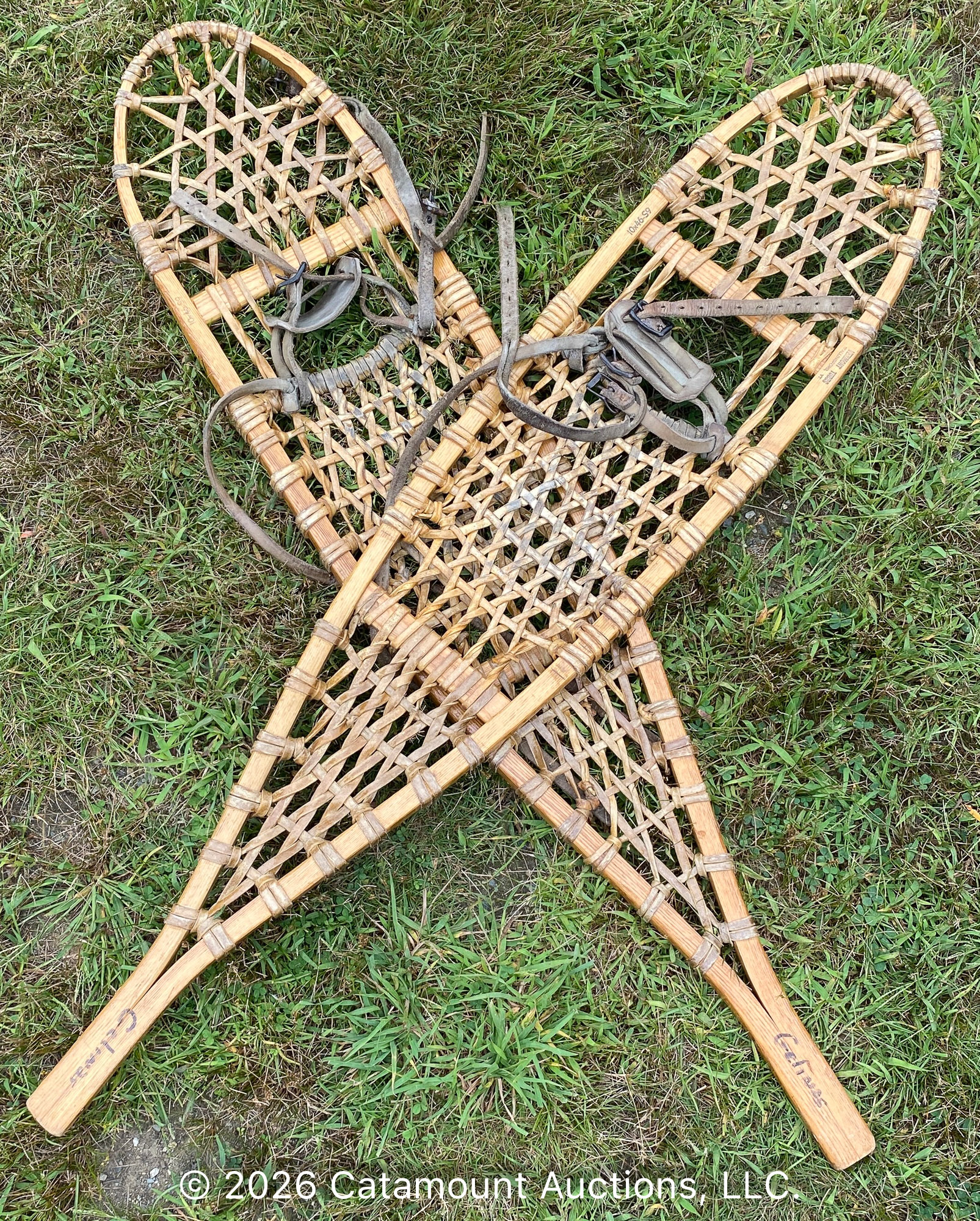 <div></div>